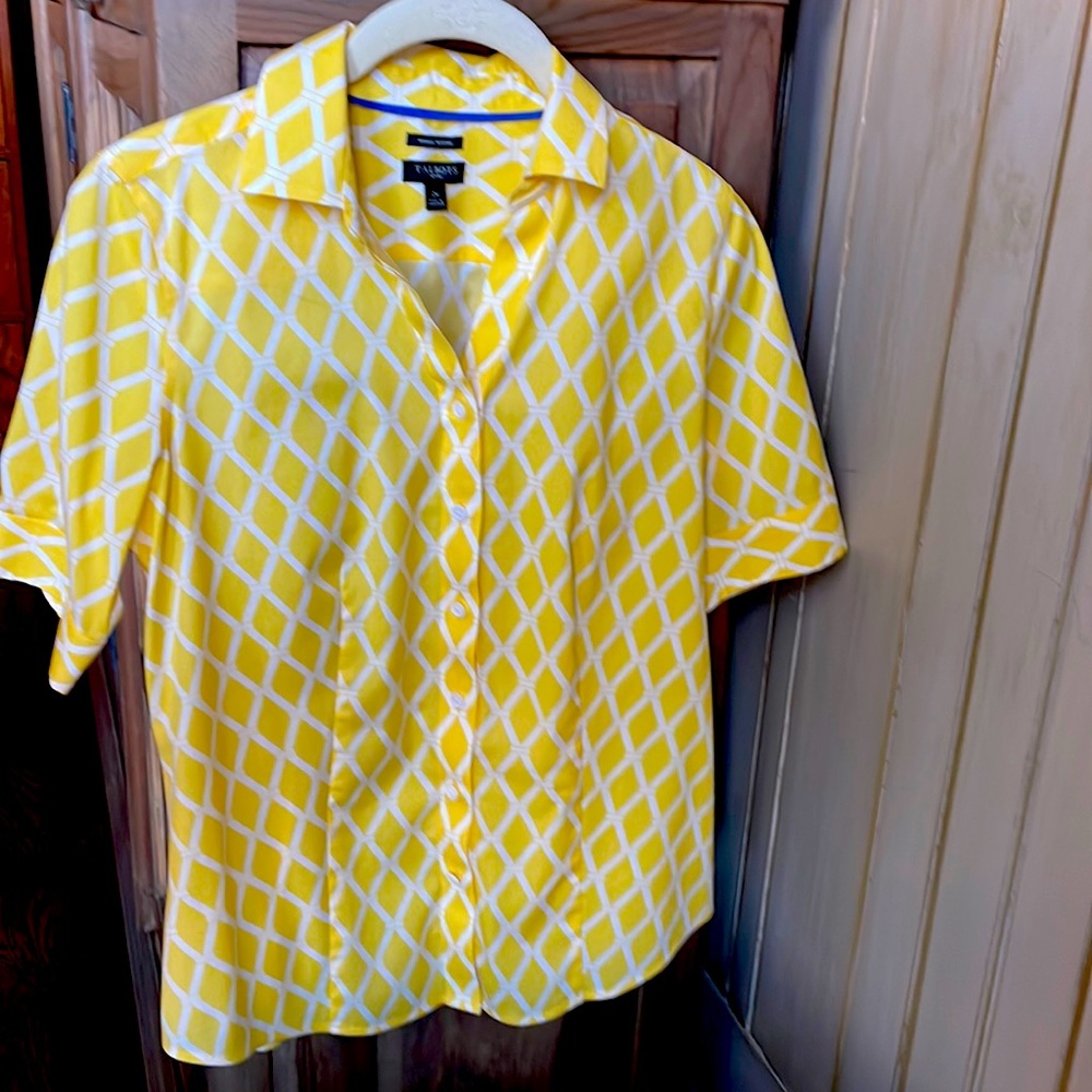 Talbots Shirt Wrinkle resistant Size 2 Petite